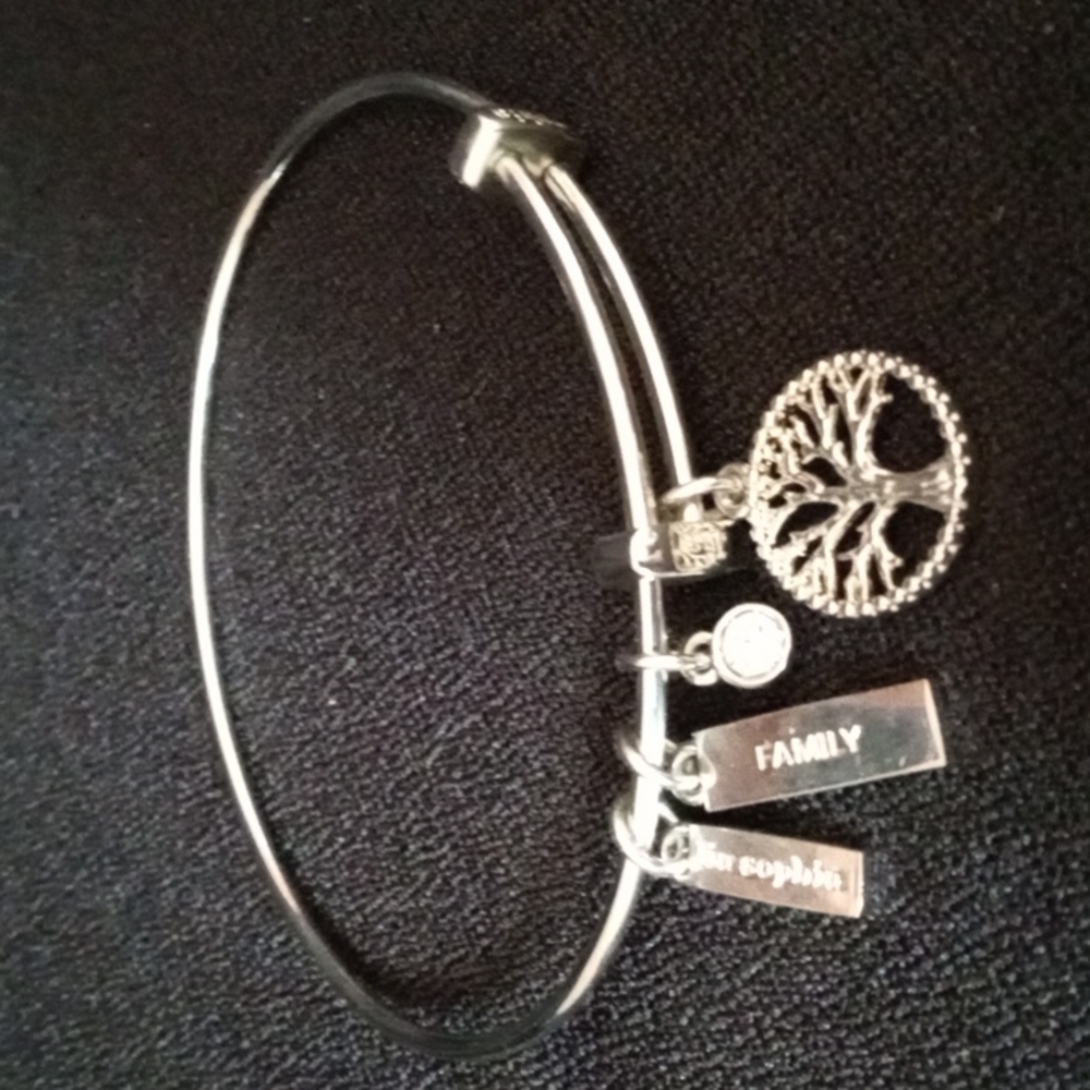 Friendship Circle - Family bracelet